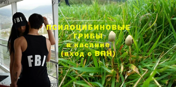 твердый Бутурлиновка