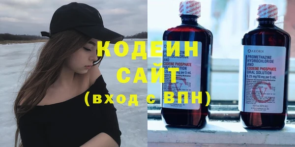 гашик Няндома