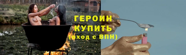 прущие грибы Новодвинск