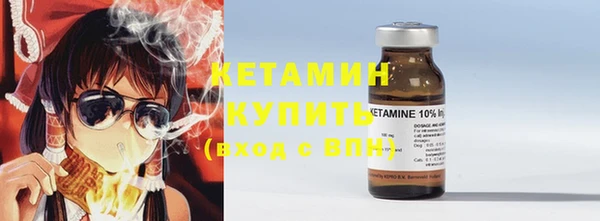 соль ск Новозыбков