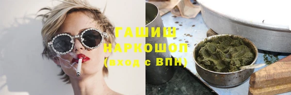 соль ск Новозыбков