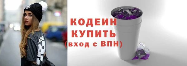 прущие грибы Новодвинск