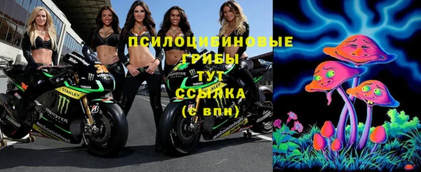 прущие грибы Новодвинск