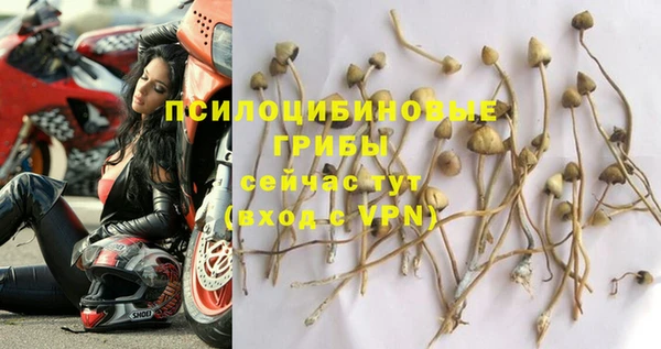соль ск Новозыбков