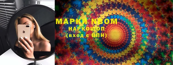 соль ск Новозыбков