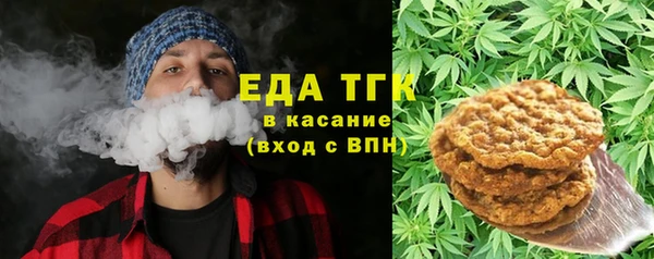 гашик Няндома
