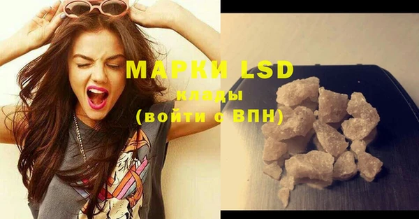 прущие грибы Новодвинск