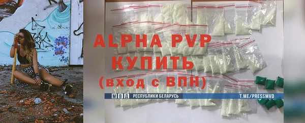 соль ск Новозыбков