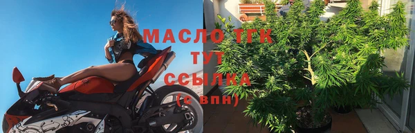 соль ск Новозыбков