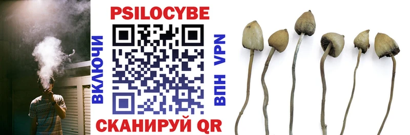 Галлюциногенные грибы Psilocybe  наркотики  Куса 